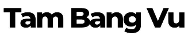 Dr. Tam Bang Vu - Economist, Musician, Architect, Educator logo