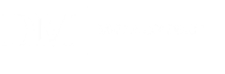 DM Media Conncet logo