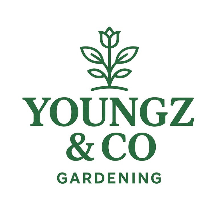Younz & Co logo