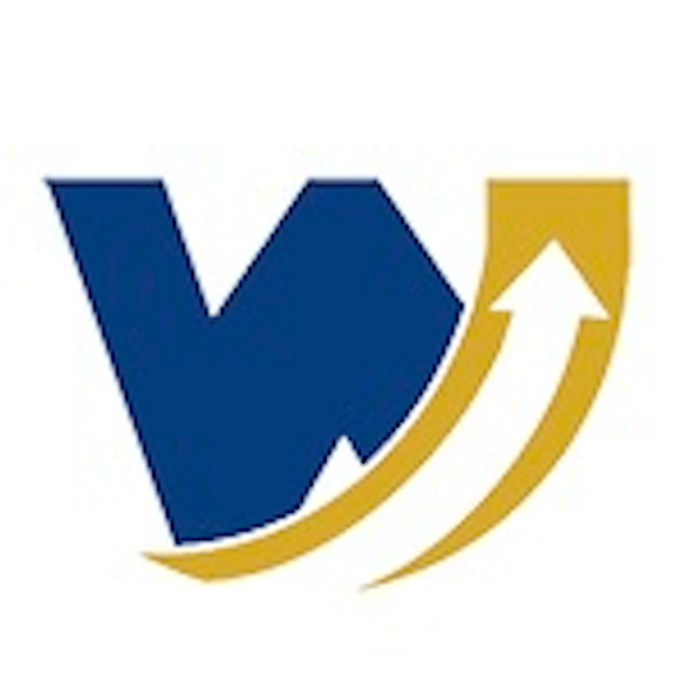 Water and Mold Techs logo