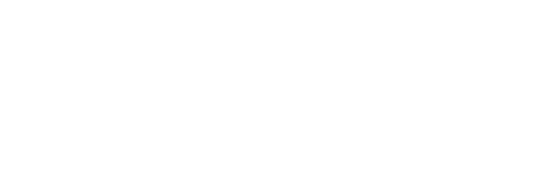 Fadul Omer logo