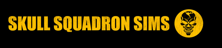 Skull Squadron Sims logo