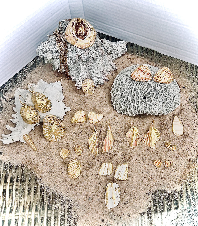 Natures Nuggets logo