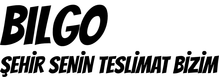 BilGo Kurye logo
