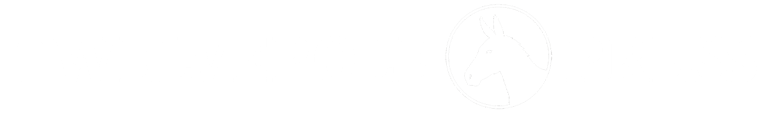 Robert E. Saunders, author logo