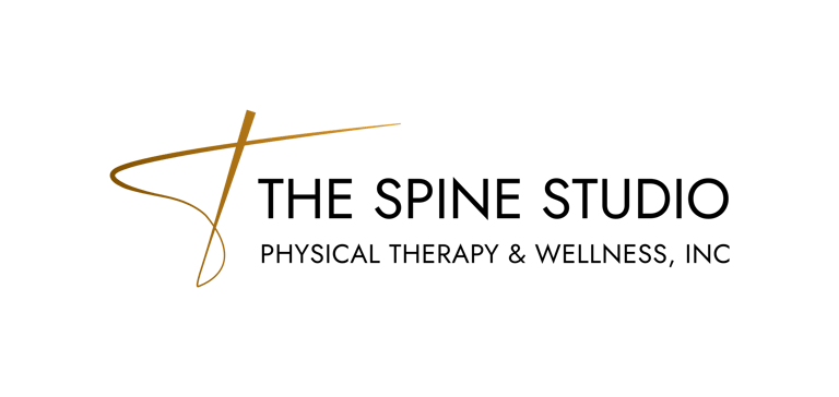 Spine Studio Physical Therapy & Wellness logo