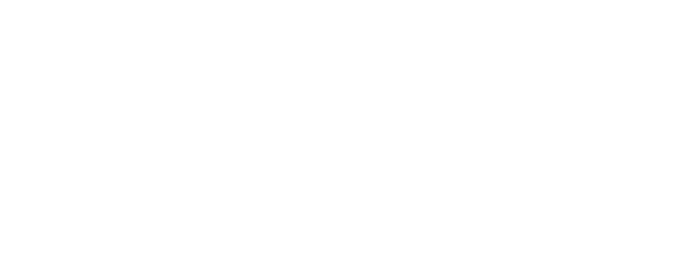 Fintech Mood logo