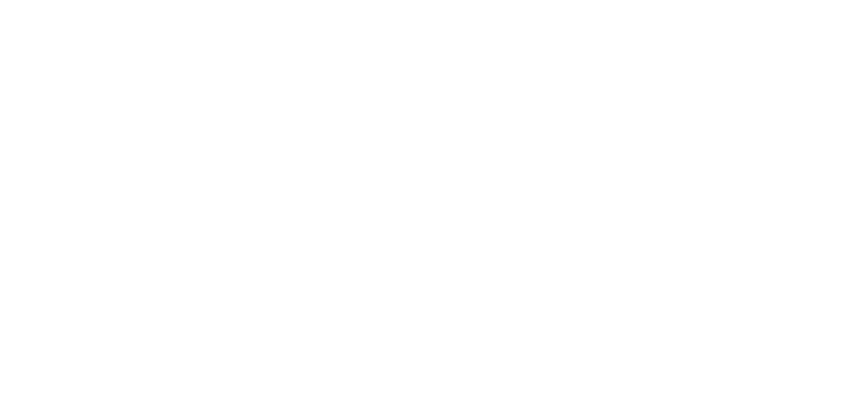 Malducci Group logo