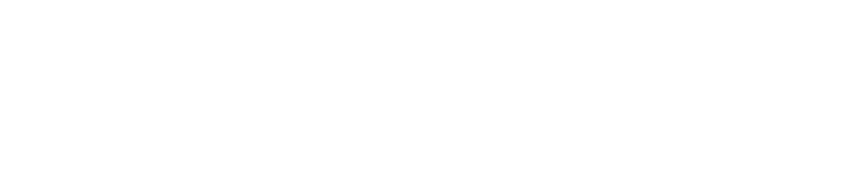 Lean X logo