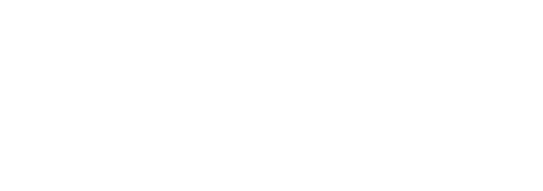 Pro Safety Productions logo