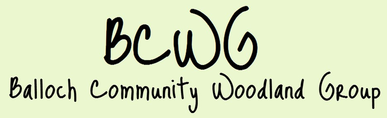 Balloch Wood Community Woodland logo