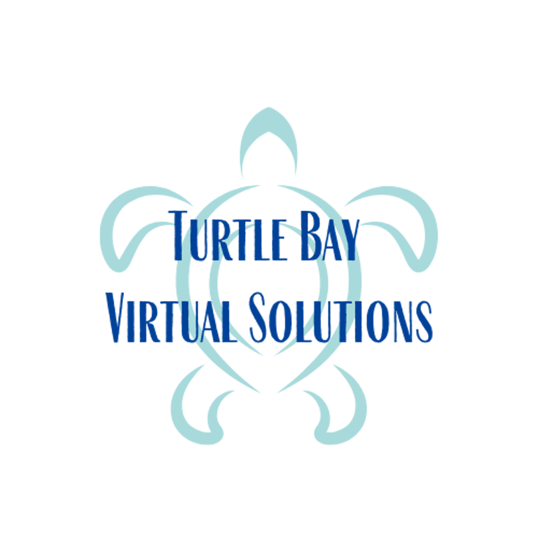 Turtle Bay Virtual Solutiuons logo
