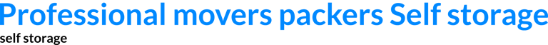 Professional movers packers Self storage logo