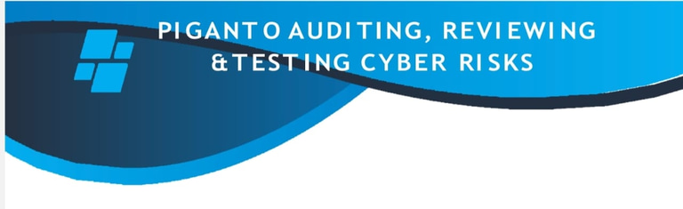PIGANTO – Auditing, Reviewing & Testing Cyber Risks logo