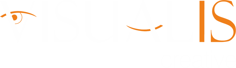 Visualis logo
