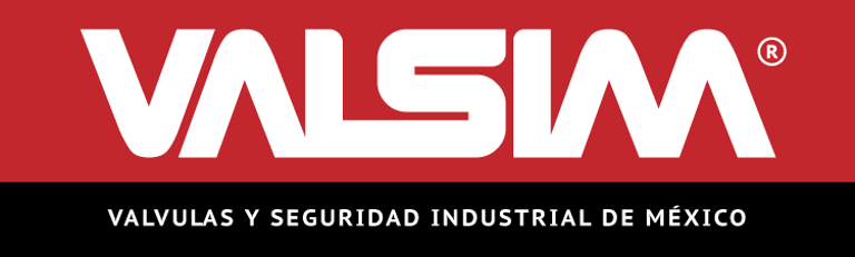 VALSIM logo