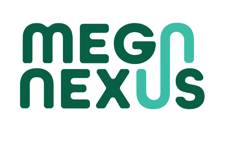 Mega Nexus Media logo