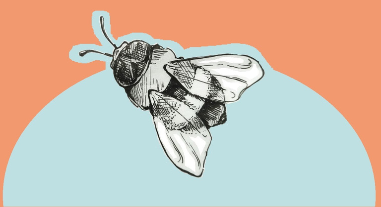 DoodleBug Farm logo