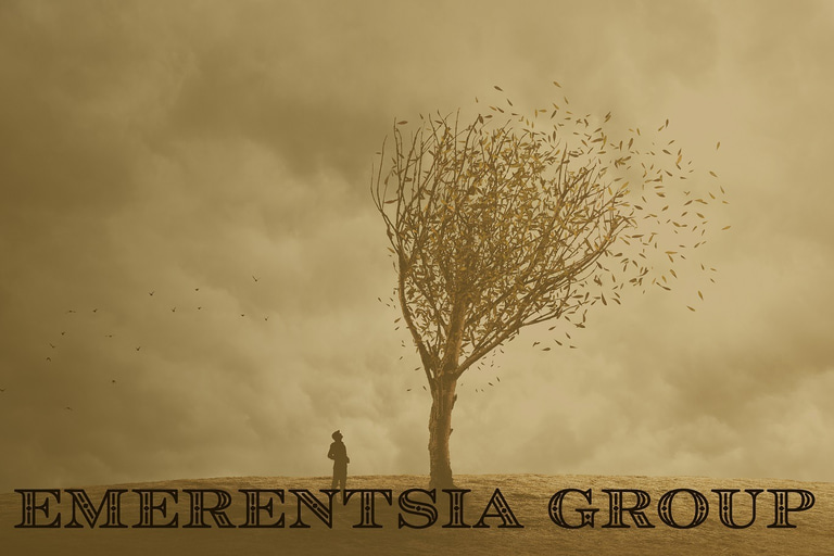Emerentsia Group, a business in Frövi, Sweden logo