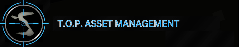 THE OPTIONS PLUG logo