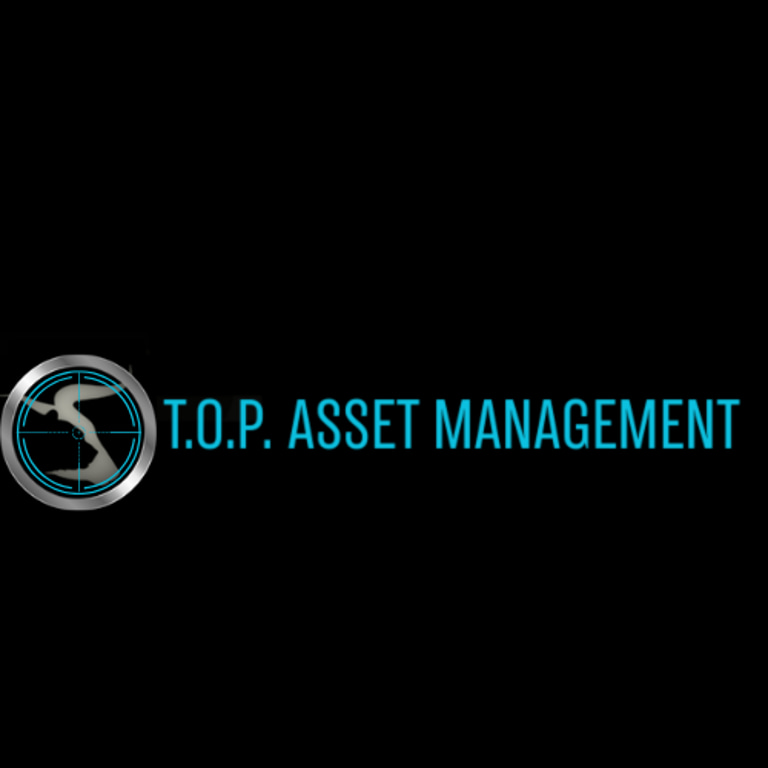 THE OPTIONS PLUG logo