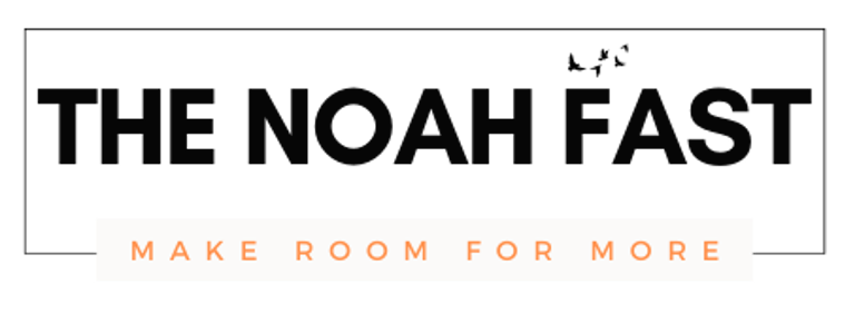 The Noah Fast logo