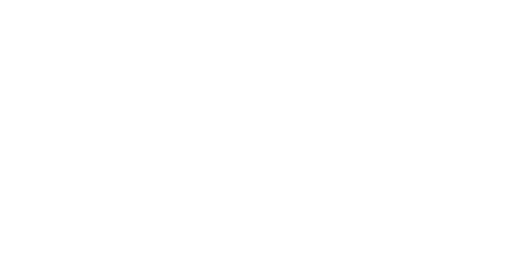 True You  logo