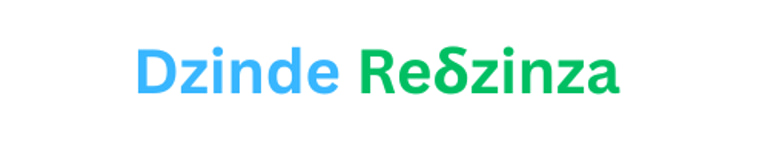 Dzinde ReDzinza (Pvt) Ltd logo