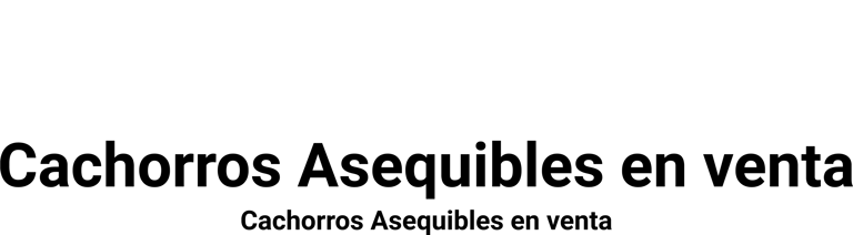 cachorros asequibles en venta logo