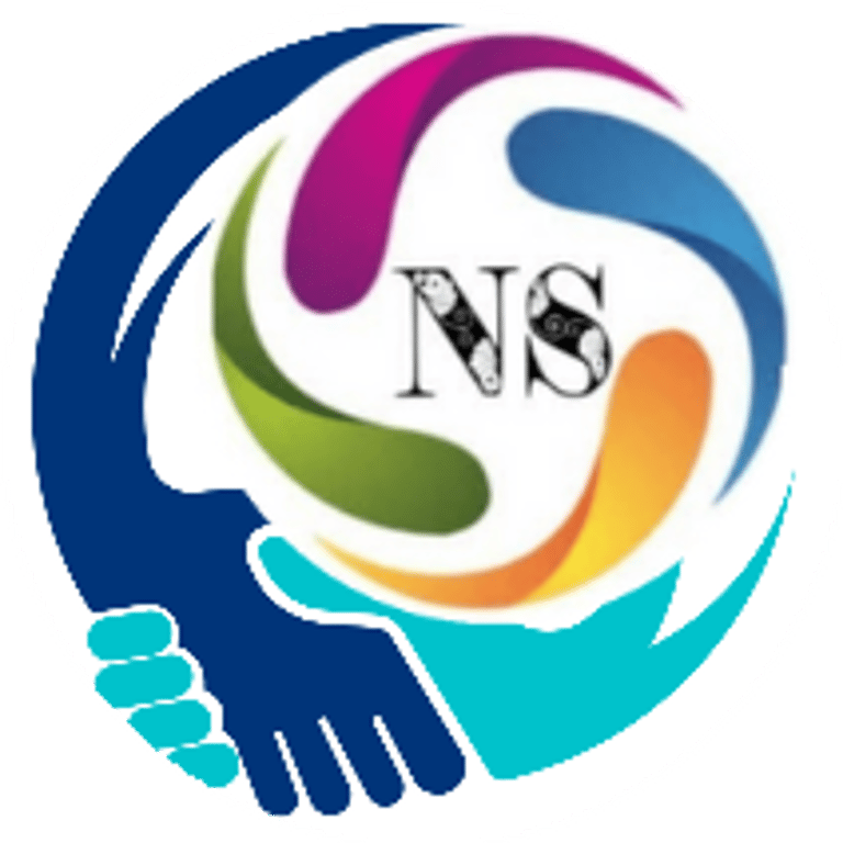 nsconsultancy logo