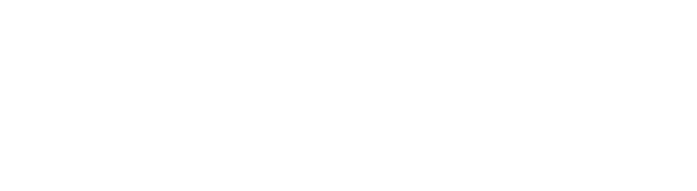 Digital Smile Innovations logo
