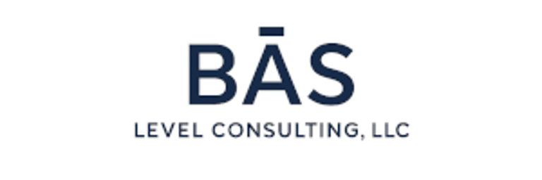 BĀS Level Consulting, LLC logo