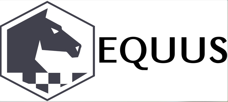 Equus Soluciones Logísticas logo