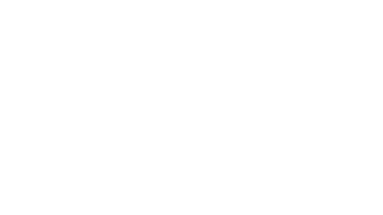 Blue Euphoria Music logo
