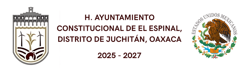 Honorable Ayuntamiento de El Espinal logo