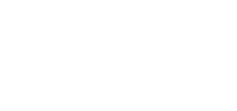 Alter-Native logo