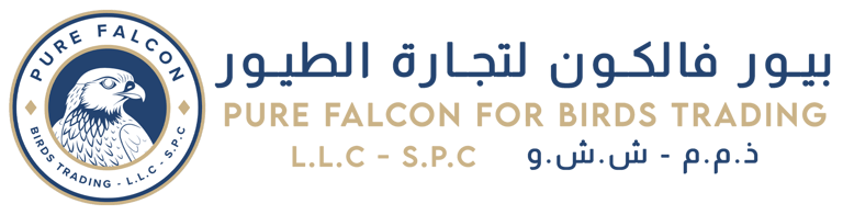PURE FALCON logo