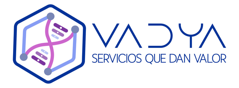 VADYA Services logo