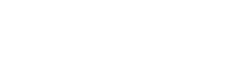 Baltice logo