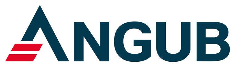 Grupo ANGUB - Soluciones en Comercio Exterior logo