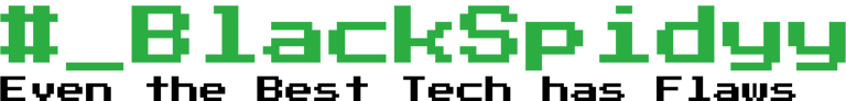 BlackSpidyy logo