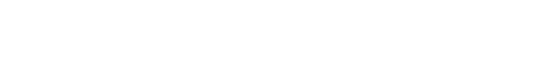 Nuevo Paradigma logo
