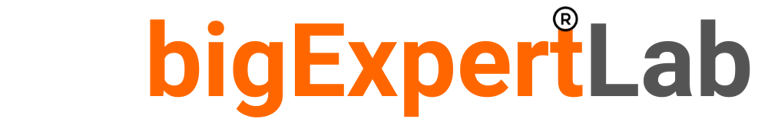 BIG EXPERT LAB logo