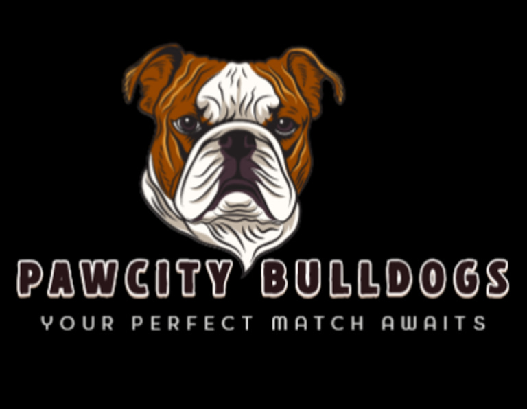 PawCity Bulldogs logo