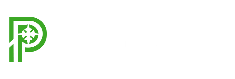 Project Pathfinder SG logo