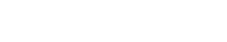SecretStashCan.com logo