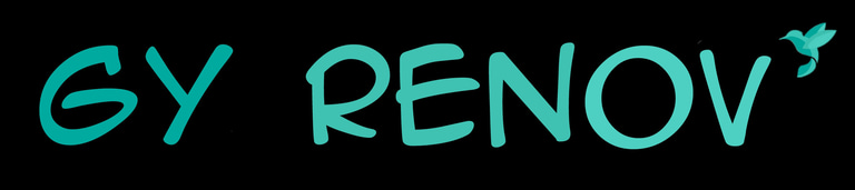 GY RENOV' logo