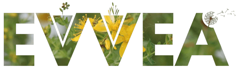 EVVEA logo