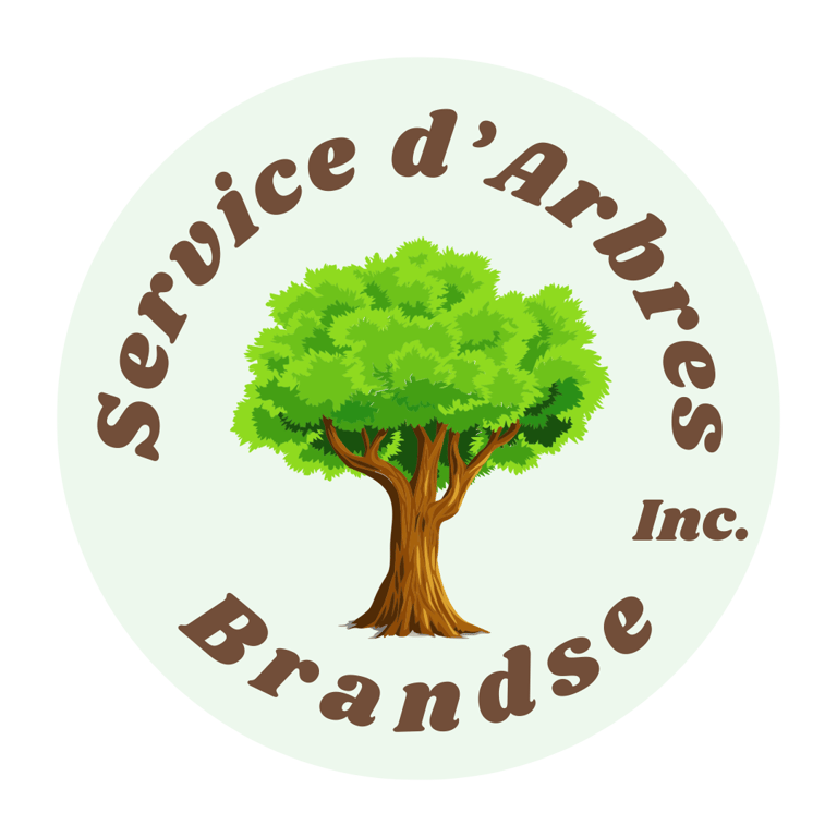 Service d'Arbres Brandse  logo