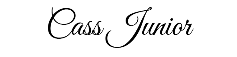The Fitness Lies They Sold You by Cass Junior eBook logo